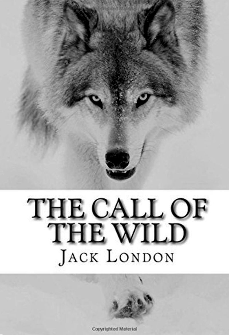 The Call of the Wild – Jack London