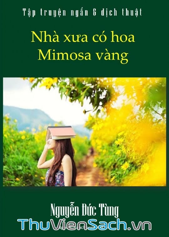 Nhà Xưa Có Hoa Mimosa Vàng