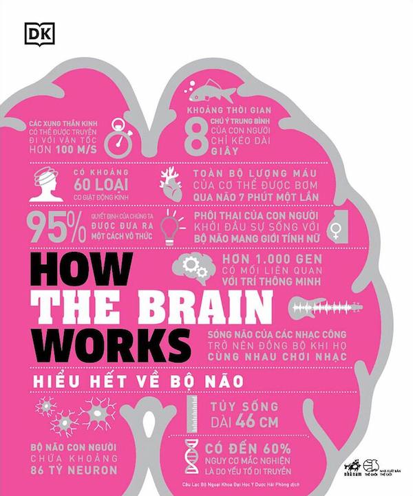 How The Brain Works – Hiểu Hết Về Bộ Não