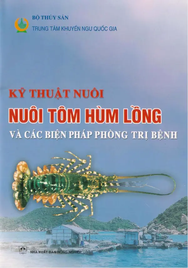 Kỹ thuật nuôi tôm hùm lồng