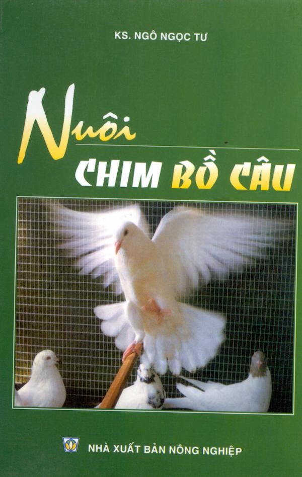 Nuôi Chim Bồ Câu