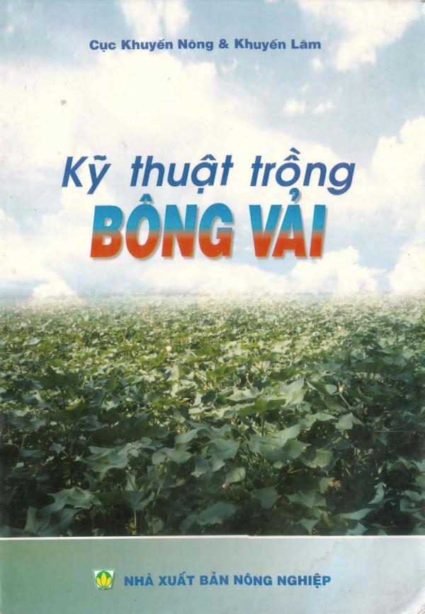 Kỹ Thuật Trồng Bông Vải