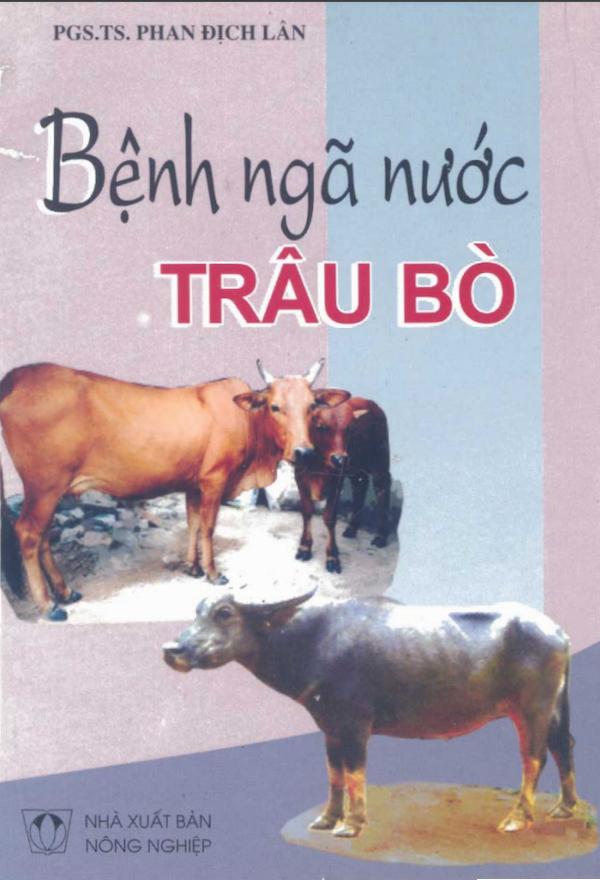 Bệnh Ngã Nước Trâu Bò