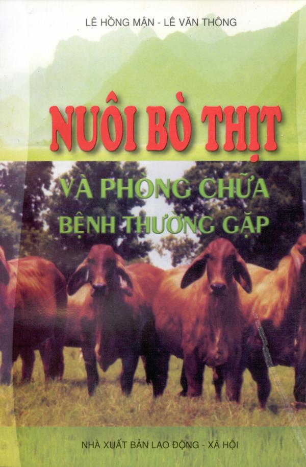 Nuôi Bò Thịt Và Phòng Chữa Bệnh Thường Gặp