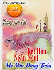 Bảy ngày hôn nhân ngắn ngủi: Mẹ yêu đừng trốn PDF EPUB