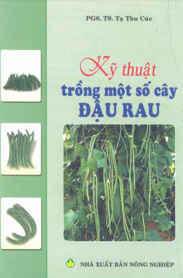 Kỹ Thuật Trồng Một Số Cây Đậu Rau