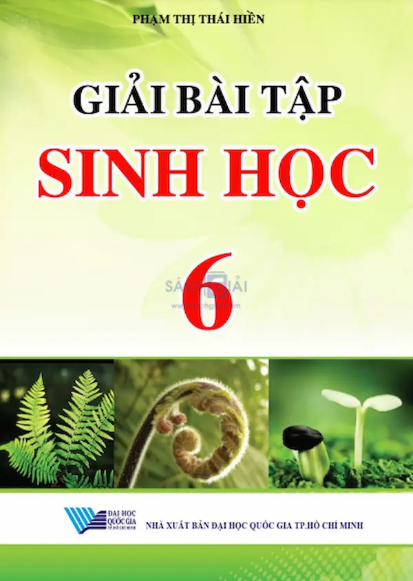 Giải Bài Tập Sinh Học 6