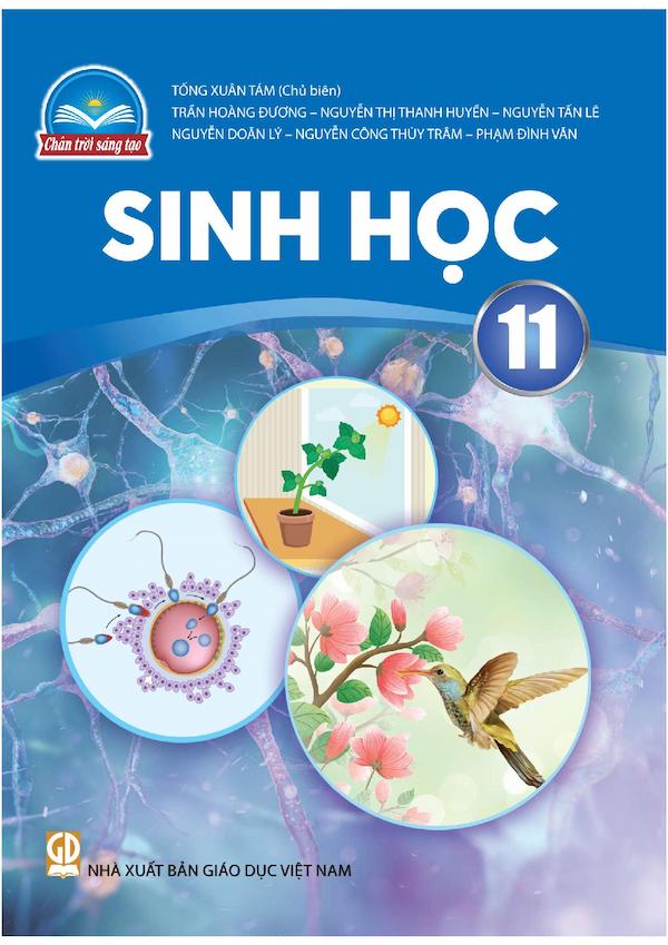 Sinh Học 11 – Chân Trời Sáng Tạo