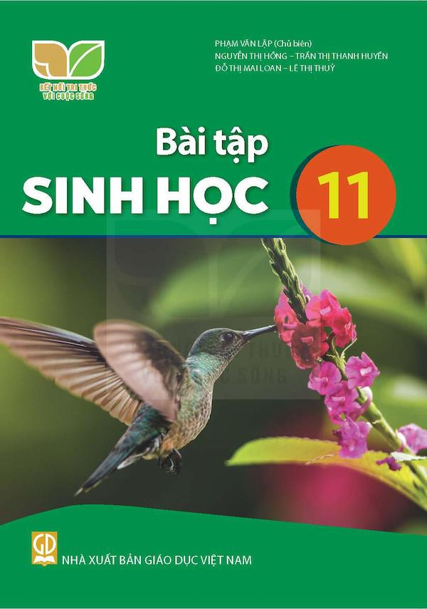 Bài Tập Sinh Học 11 – Kết Nối Tri Thức Với Cuộc Sống