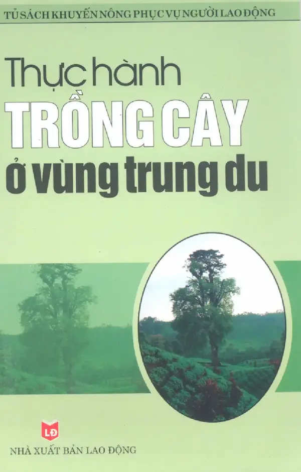 Thực hành trồng cây ở vùng Trung Du