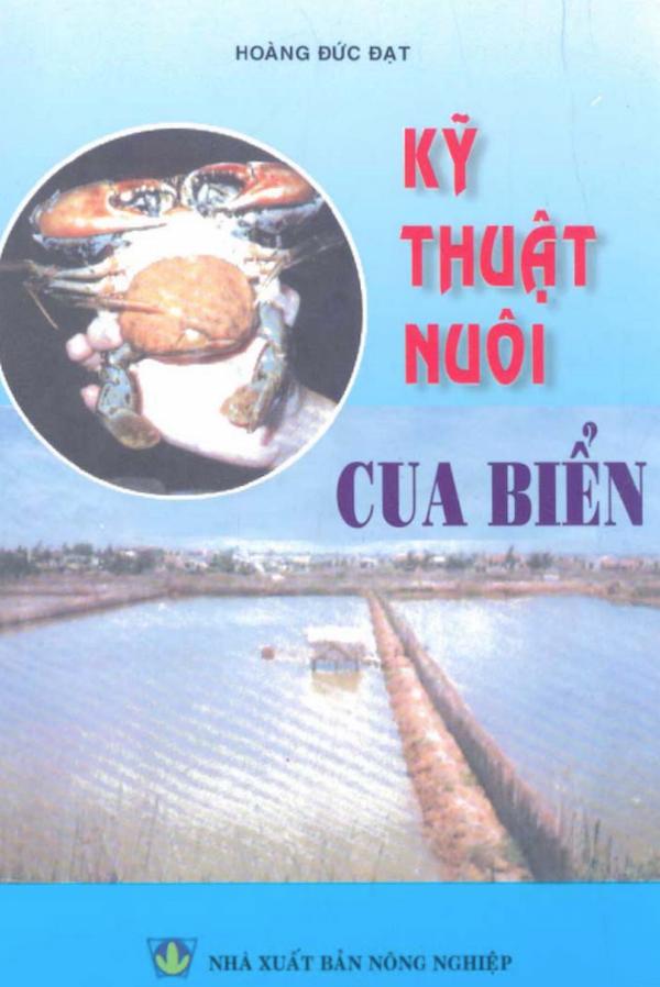 Kỹ Thuật Cua Biển