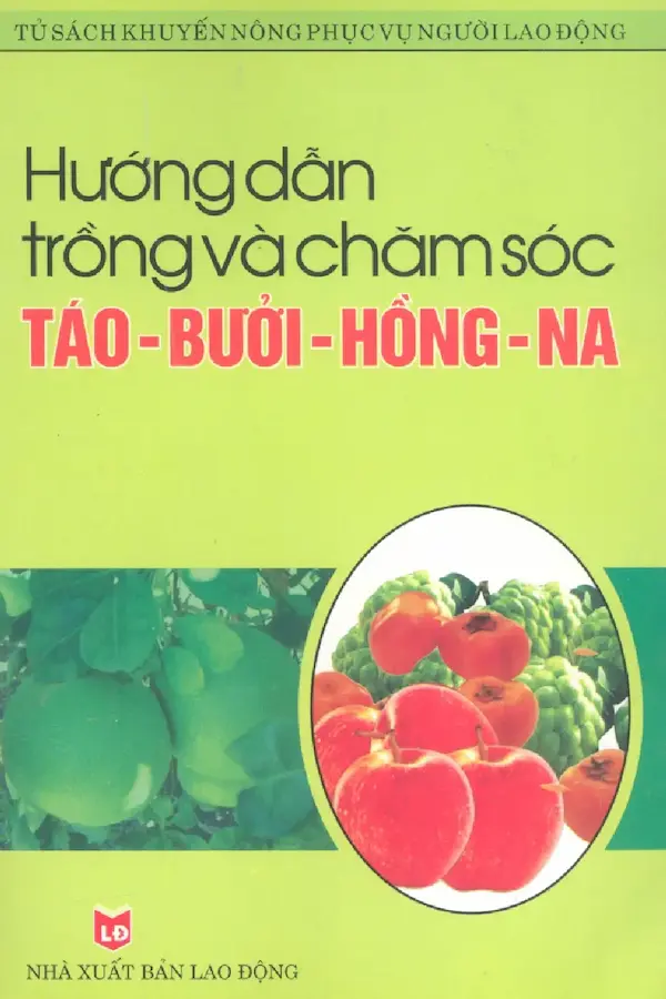 Hướng dẫn trồng và chăm sóc Táo – Bưởi – Hồng – Na