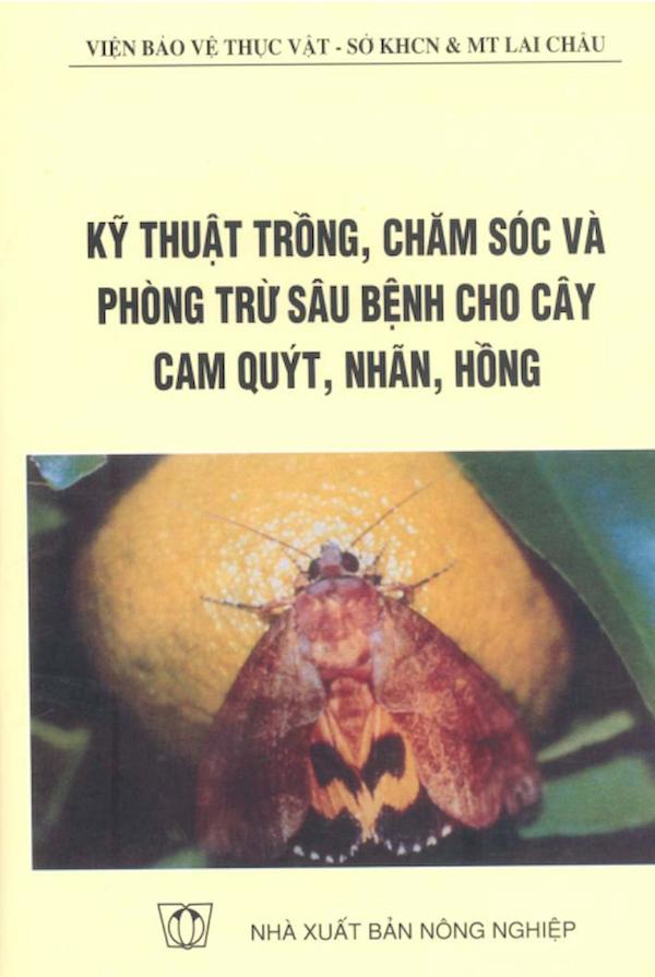 Kỹ Thuật Trồng, Chăm Sóc Và Phòng Trừ Sâu Bệnh Cho Cây Cam Quýt, Nhãn, Hồng