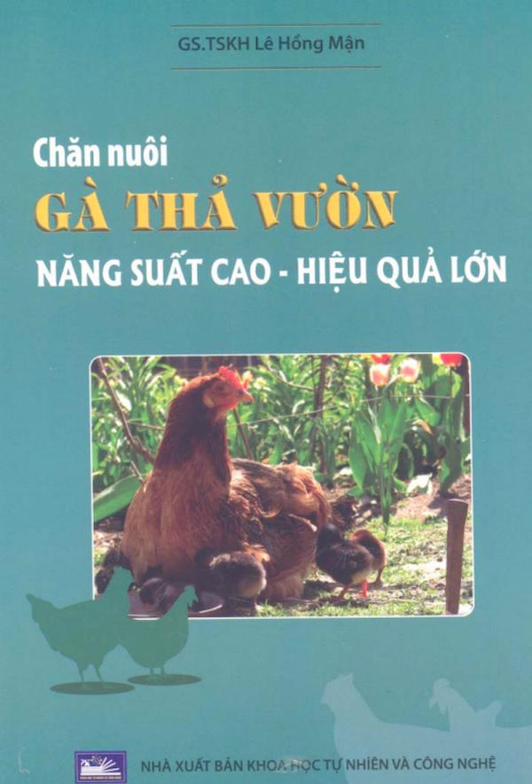 Chăn Nuôi Gà Thả Vườn Năng Suất Cao – Hiệu Quả Lớn