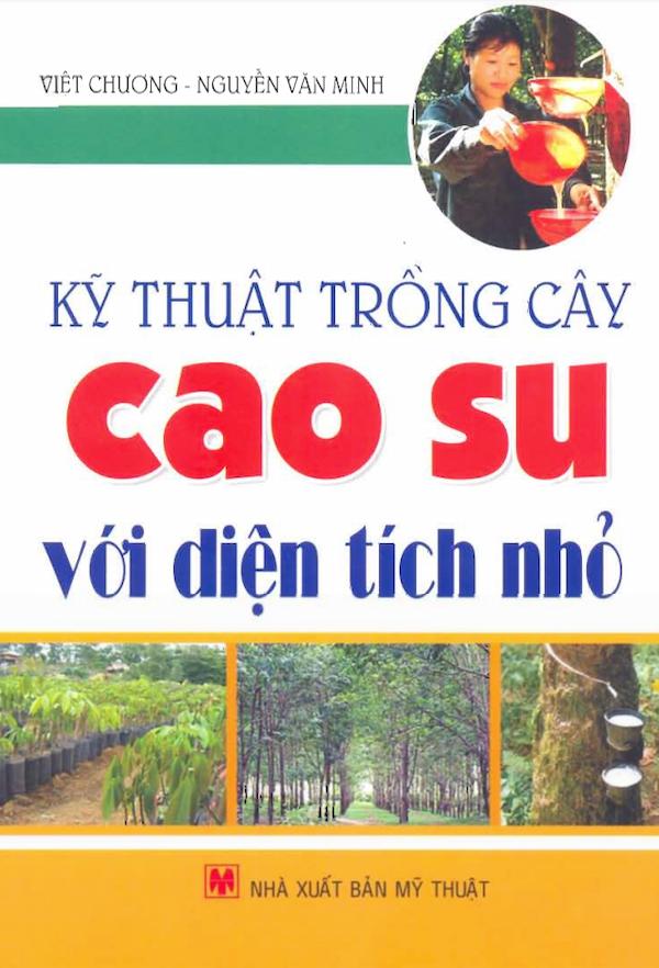 Kỹ Thuật Trồng Cây Cao Su Với Diện Tích Nhỏ