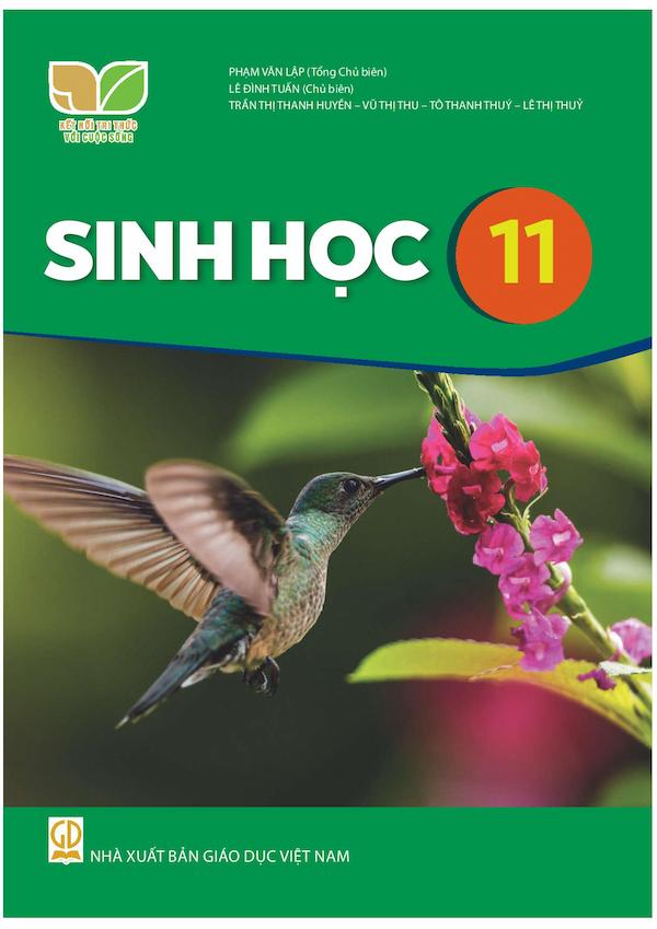 Sinh Học 11 – Kết Nối Tri Thức Với Cuộc Sống