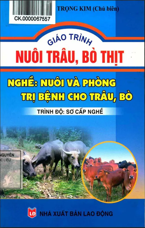 Giáo trình nuôi trâu, bò thịt