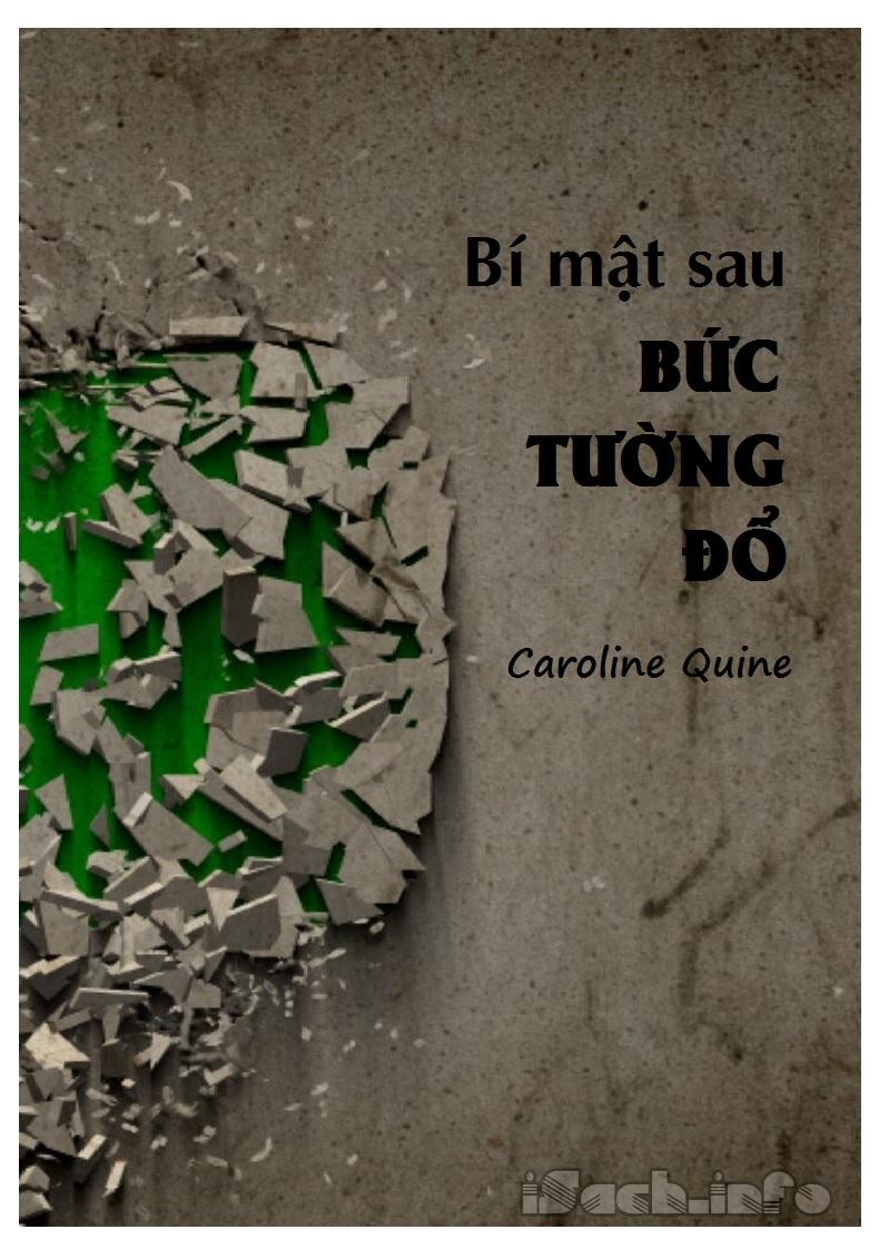 Bí Mật Sau Bức Tường Đổ PDF EPUB