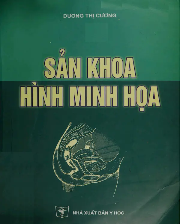 Sản khoa hình minh hoạ