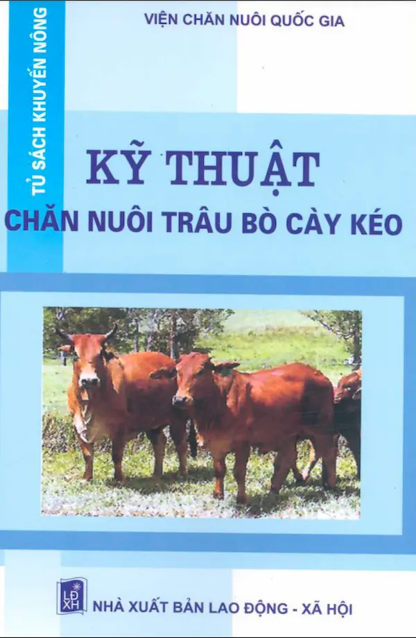 Kỹ thuật chăn nuôi trâu bò cày kéo