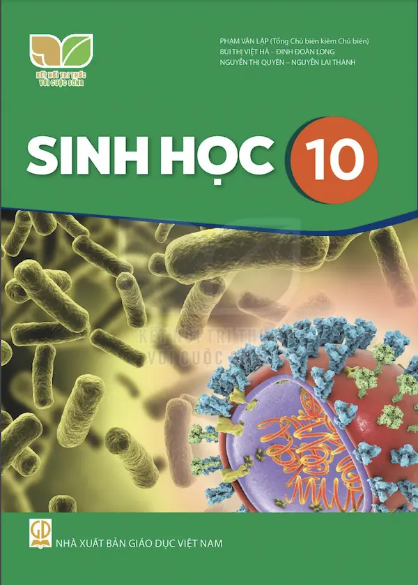 Sinh Học 10 – Kết Nối Tri Thức Với Cuộc Sống