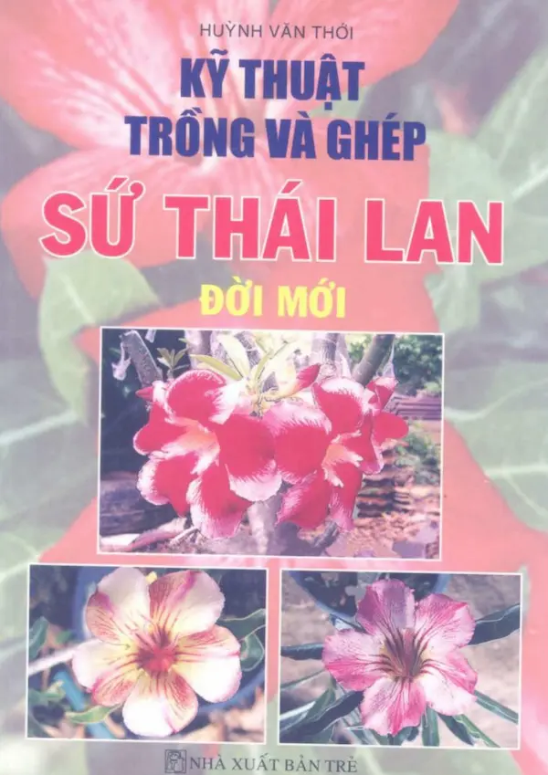 Kỹ Thuật Trồng Và Ghép Sứ Thái Lan Đời Mới