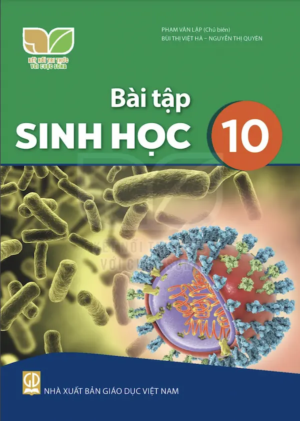 Bài Tập Sinh Học 10 – Kết Nối Tri Thức Với Cuộc Sống