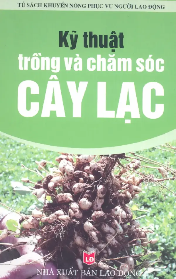 Kỹ thuật trồng và chăm sóc cây Lạc