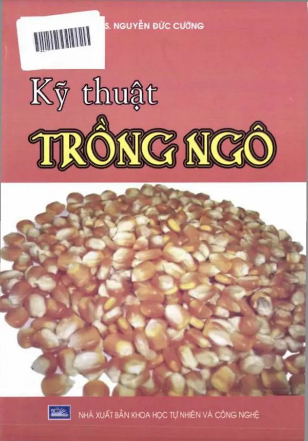 Kỹ Thuật Trồng Ngô