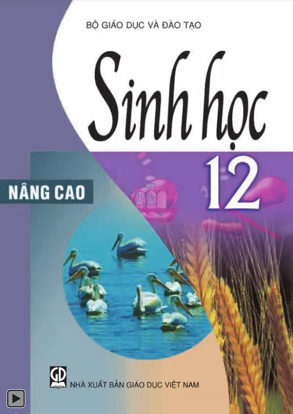 Sách Giáo Khoa Sinh Học 12 Nâng Cao