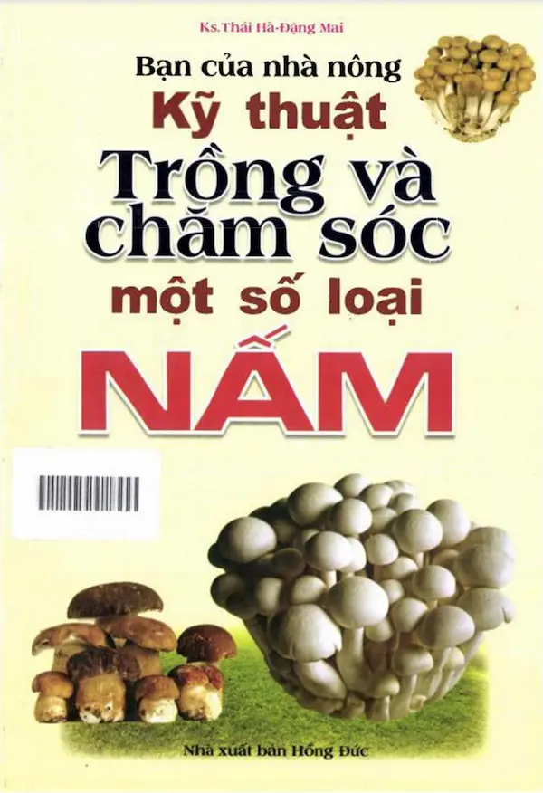 Kỹ Thuật Trồng Và Chăm Sóc Một Số Loại Nấm