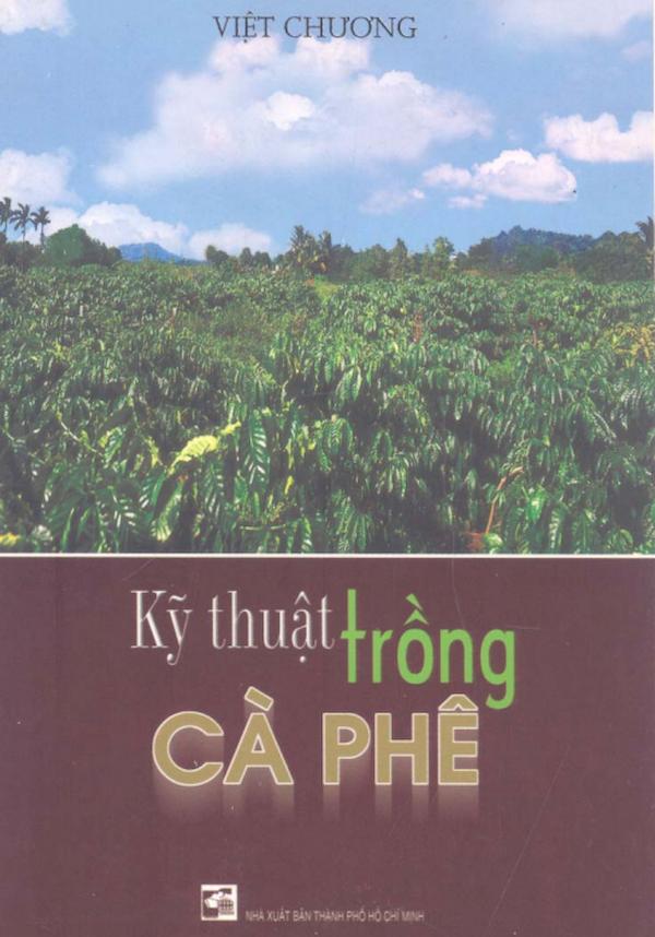 Kỹ Thuật Trồng Cà Phê