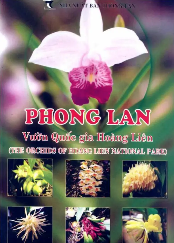 Phong Lan Vườn Quốc Gia Hoàng Liên