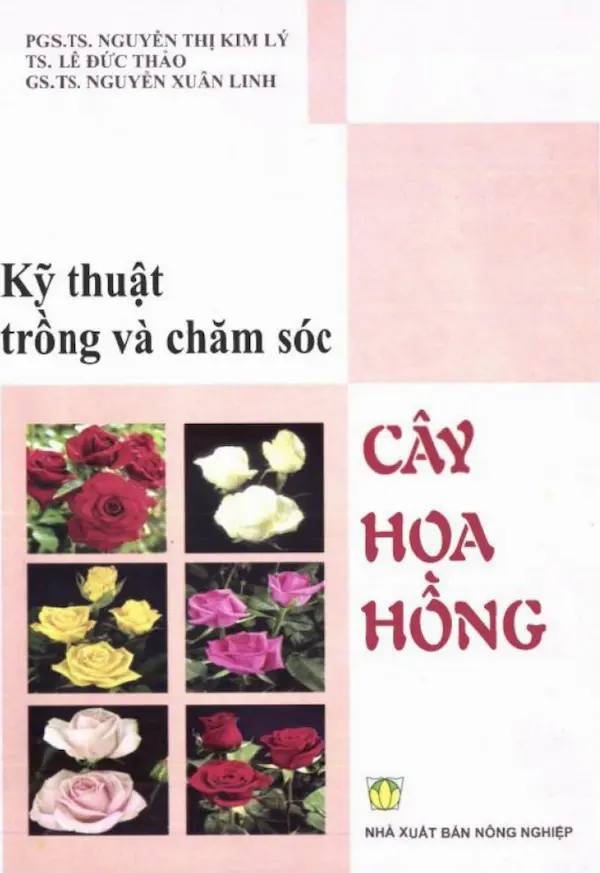 Kỹ Thuật Trồng Và Chăm Sóc Cây Hoa Hồng