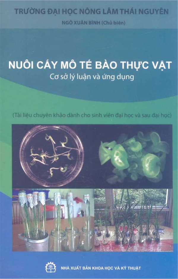 Nuôi cấy mô tế bào thực vật – Cơ sở lý luận và ứng dụng