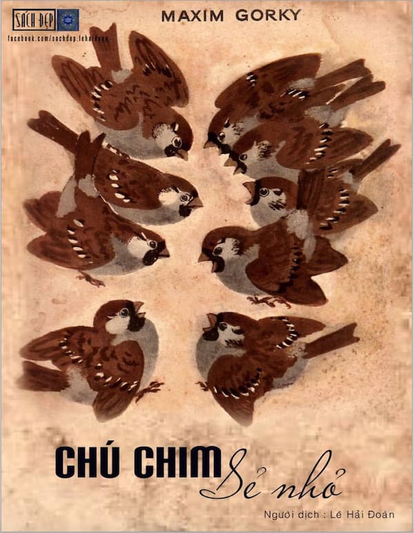 Chú chim sẻ nhỏ