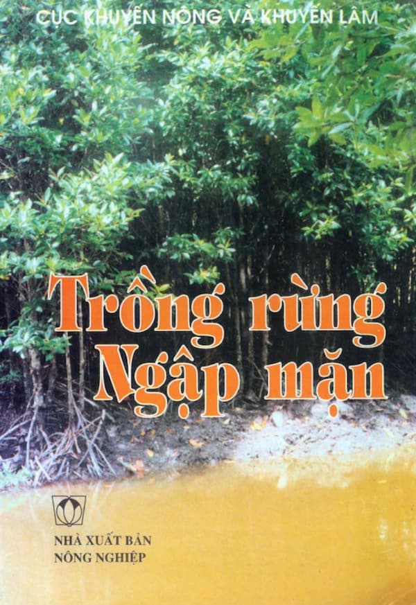 Trồng Rừng Ngập Mặn