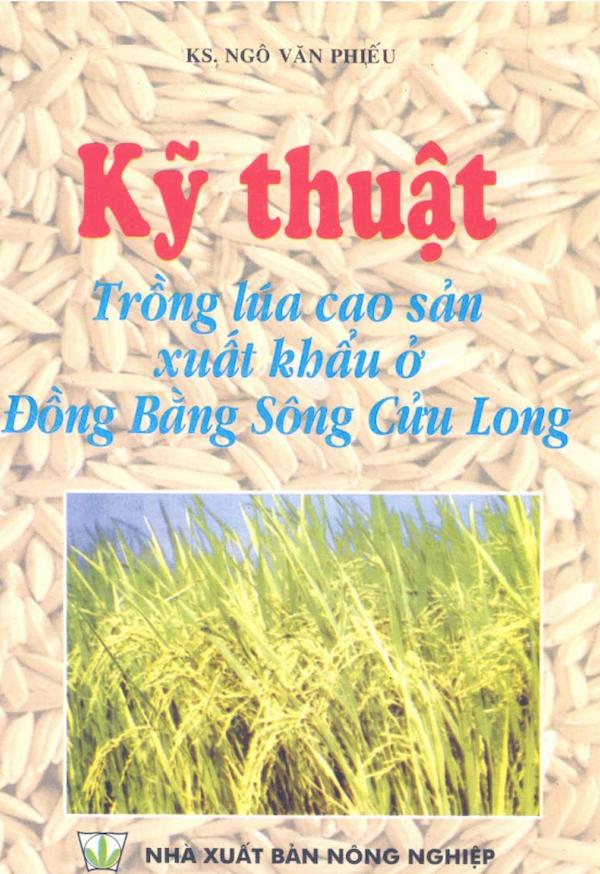 Kỹ Thuật Trồng Lúa Cao Sản Xuất Khẩu Ở Đồng Bằng Sông Cửu Long