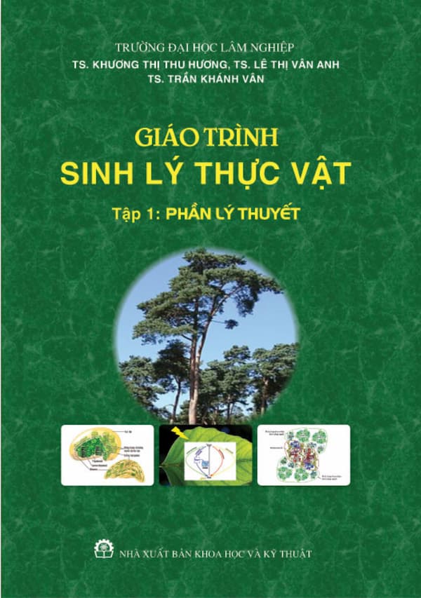 Giáo trình sinh lý thực vật – tập 1 : Phần lý thuyết