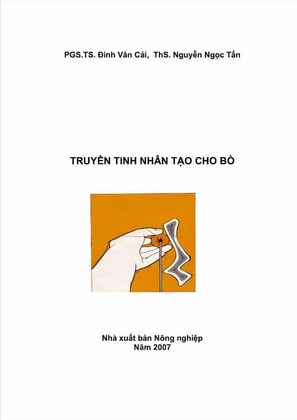 Truyền tinh nhân tạo cho bò