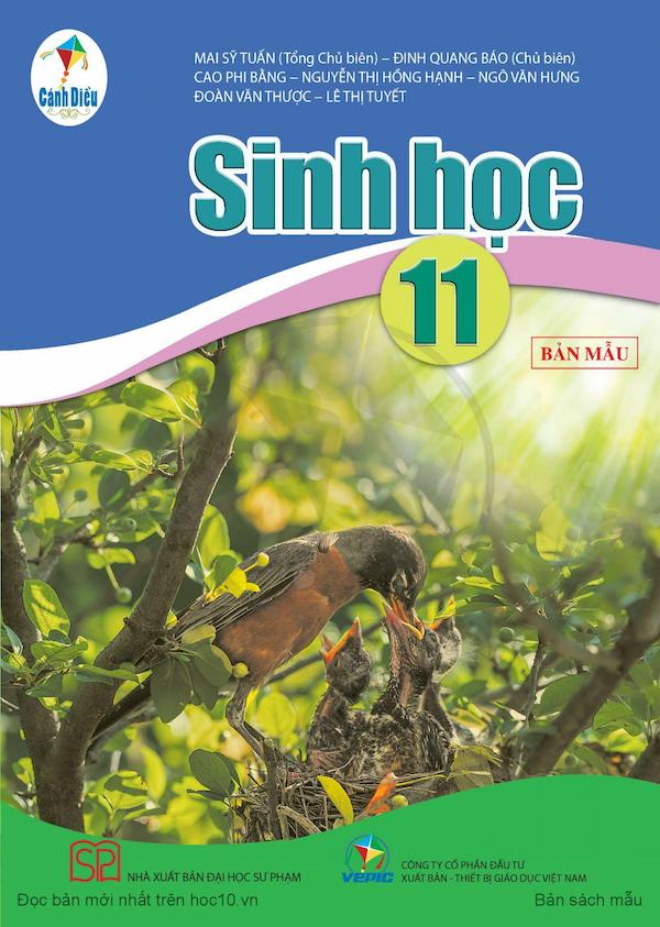 Sinh Học 11 – Cánh Diều