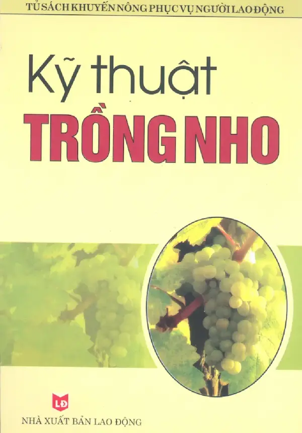 Kỹ thuật trồng nho