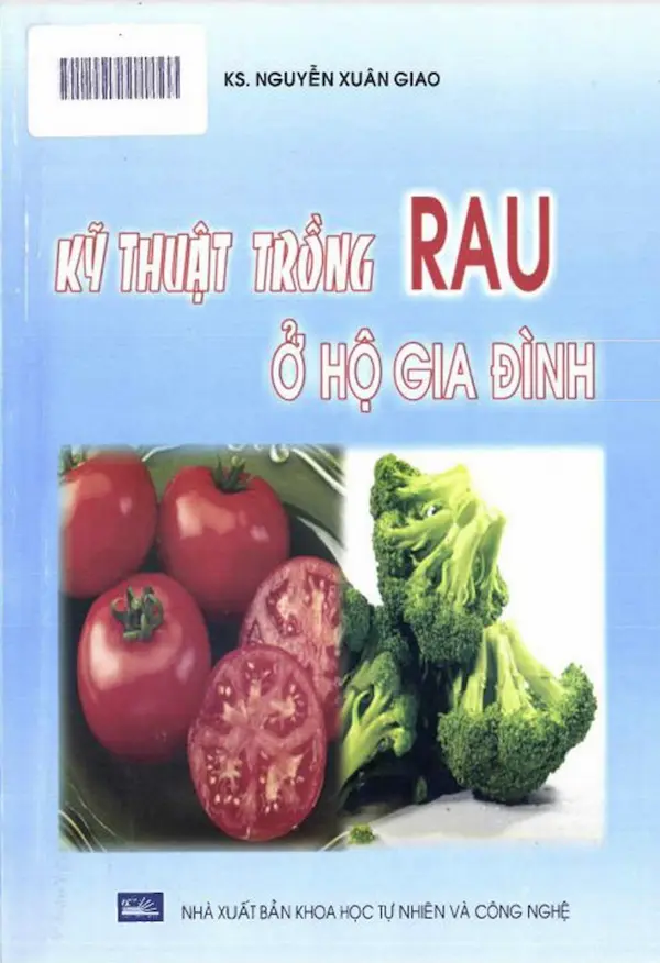 Kỹ Thuật Trồng Rau Ở Hộ Gia Đình