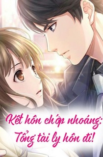 Kết Hôn Chớp Nhoáng – Tổng Tài Ly Hôn Đi PDF EPUB