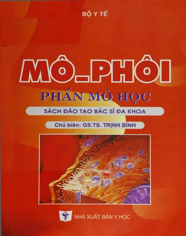 Mô phôi – phần Mô Học