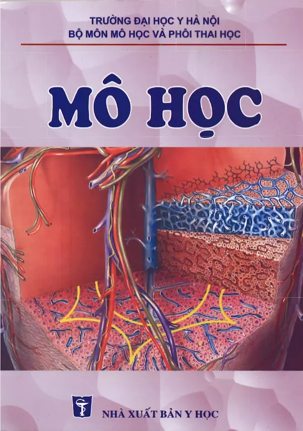 Mô học