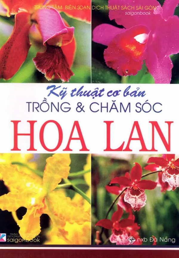 Kỹ Thuật Cơ Bản Trồng Và Chăm Sóc Hoa Lan