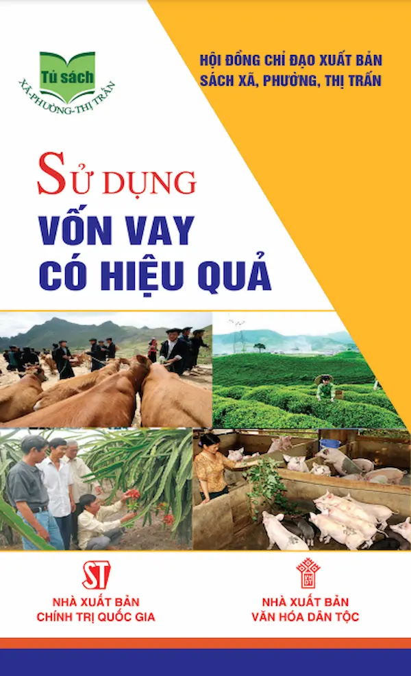 Sử Dụng Vốn Vay Có Hiệu Quả