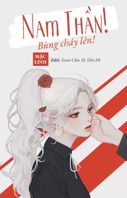 Nam Thần, Bùng Cháy Đi! PDF EPUB