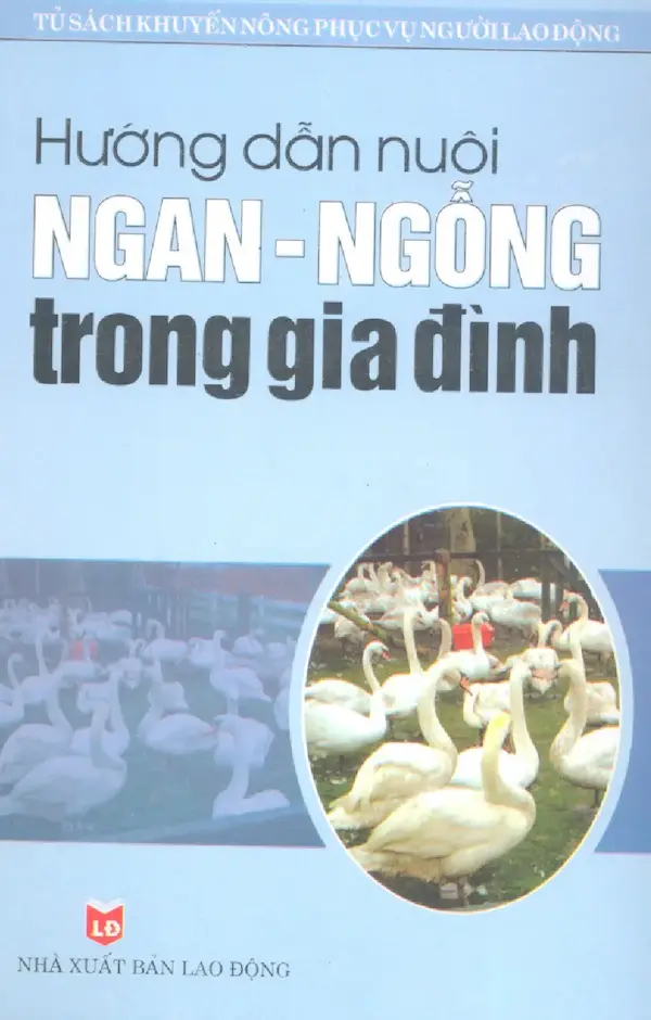 Hướng dẫn nuôi Ngan – Ngỗng trong gia đình